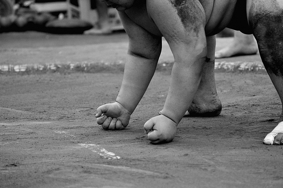 diet for obesity management