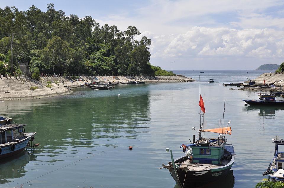 foods to avoid with medications