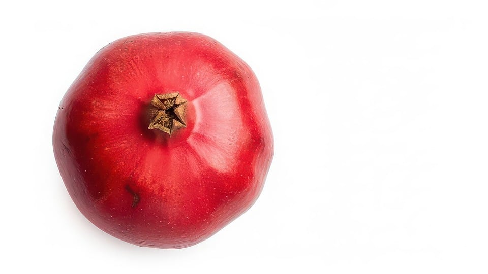 evidence based nutrition